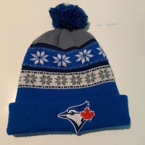 Blue jays Winter hat